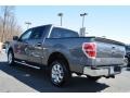 2014 Sterling Grey Ford F150 XLT SuperCrew  photo #25