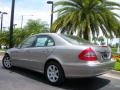 2008 Pewter Metallic Mercedes-Benz E 320 BlueTEC Sedan  photo #8