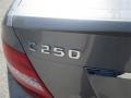 Palladium Silver Metallic - C 250 Coupe Photo No. 20