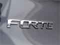 2014 Steel Blue Kia Forte LX  photo #10