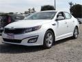 Snow White Pearl - Optima LX Photo No. 6