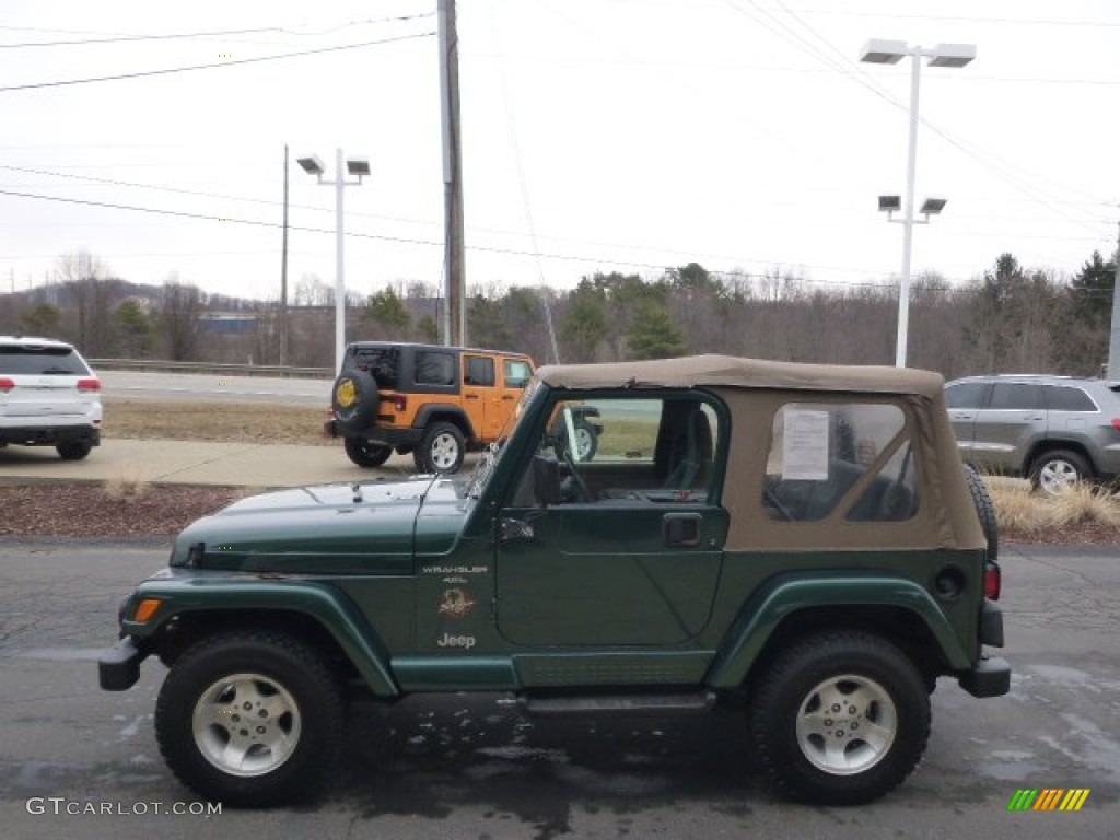 2000 Wrangler Sahara 4x4 - Forest Green Pearl / Camel/Dark Green photo #5