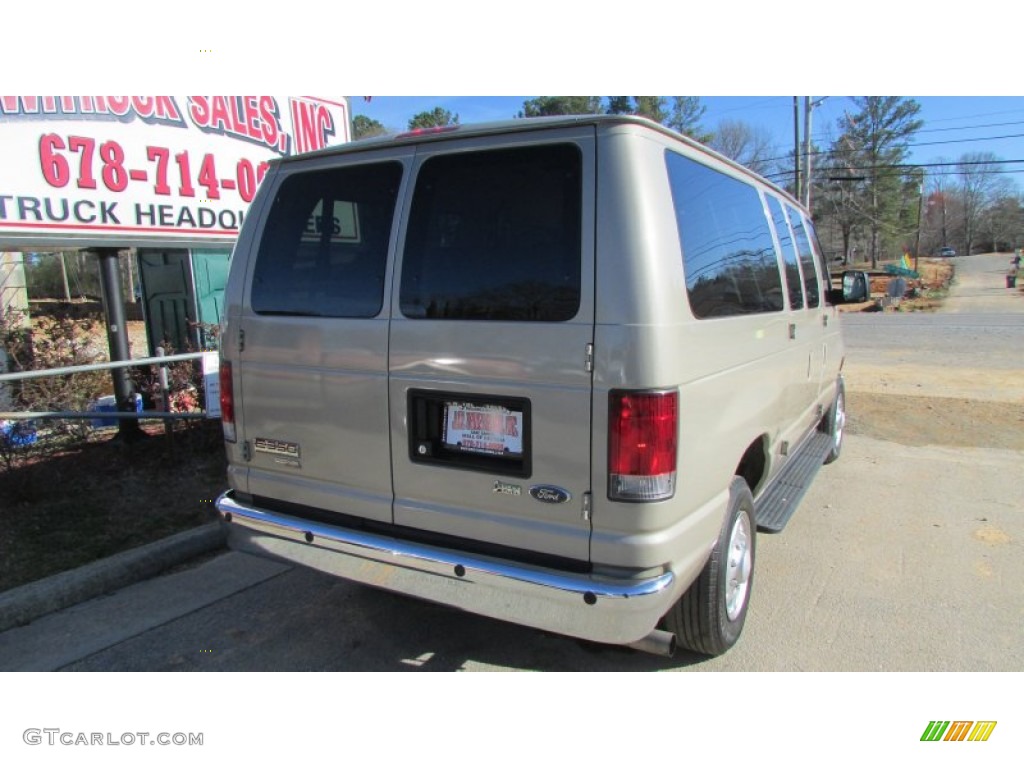 2013 E Series Van E350 XLT Passenger - Pueblo Gold Metallic / Medium Pebble photo #8