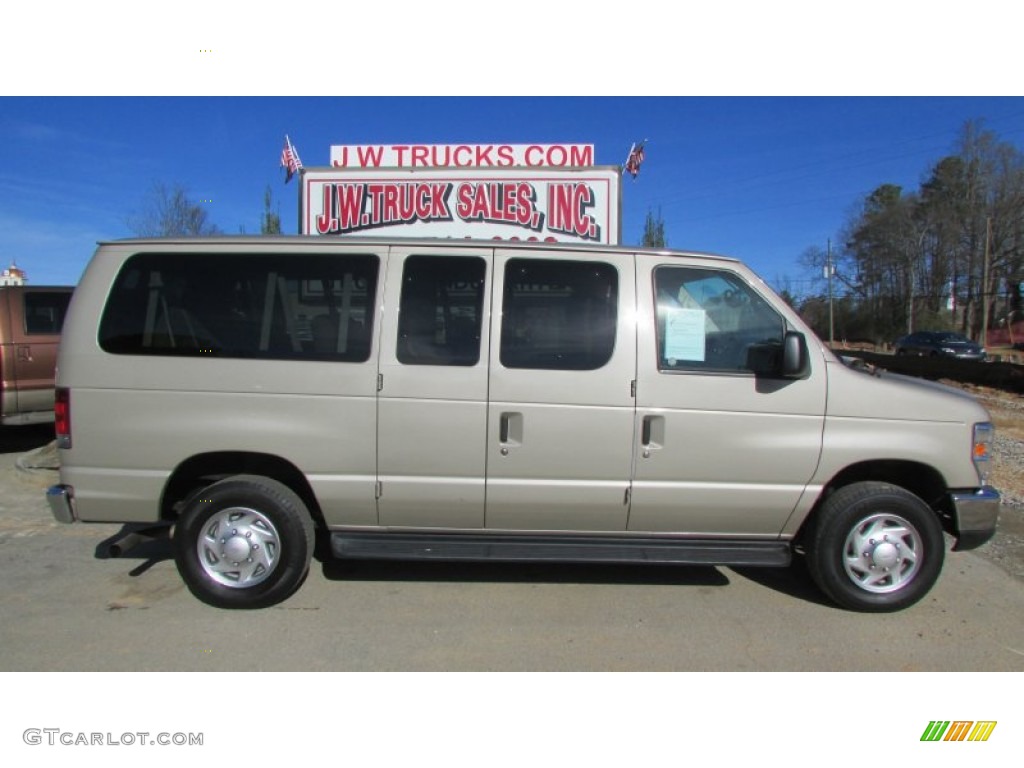 2013 E Series Van E350 XLT Passenger - Pueblo Gold Metallic / Medium Pebble photo #10
