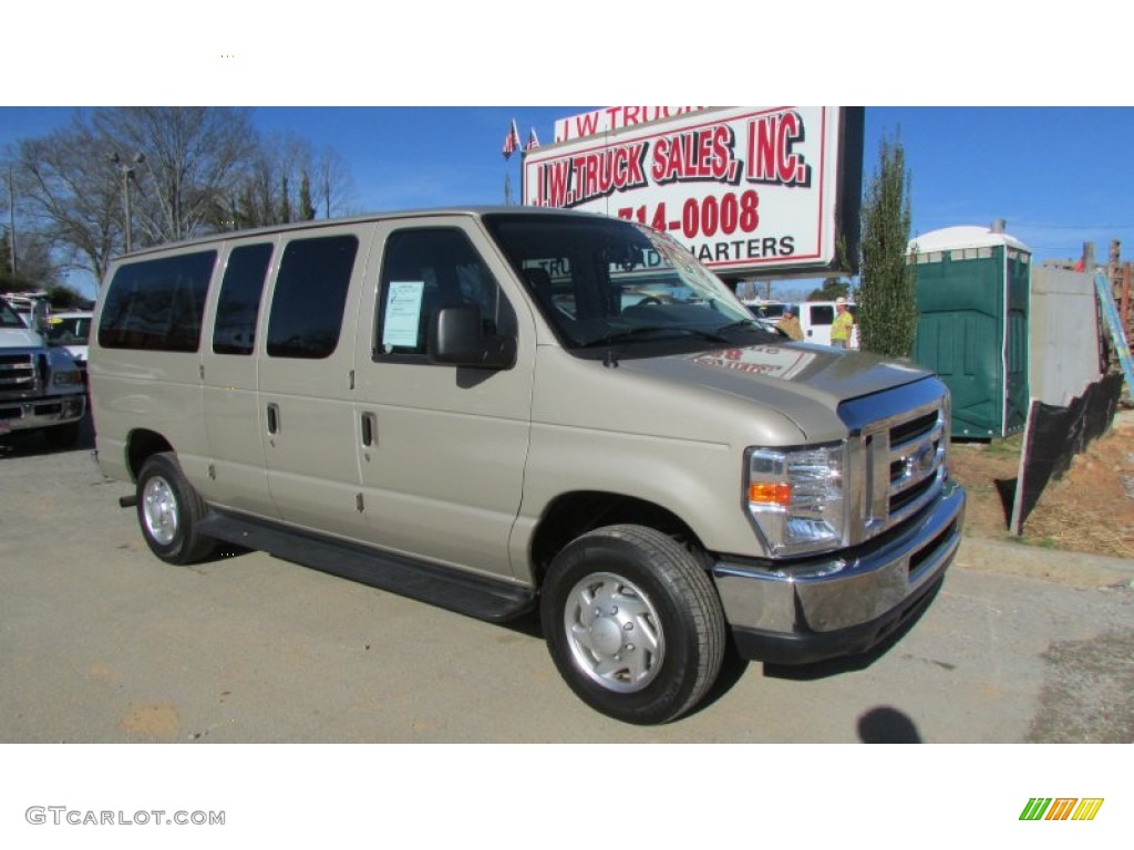 2013 E Series Van E350 XLT Passenger - Pueblo Gold Metallic / Medium Pebble photo #11