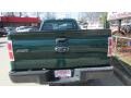 2010 Fleet Green Ford F150 XL Regular Cab  photo #7