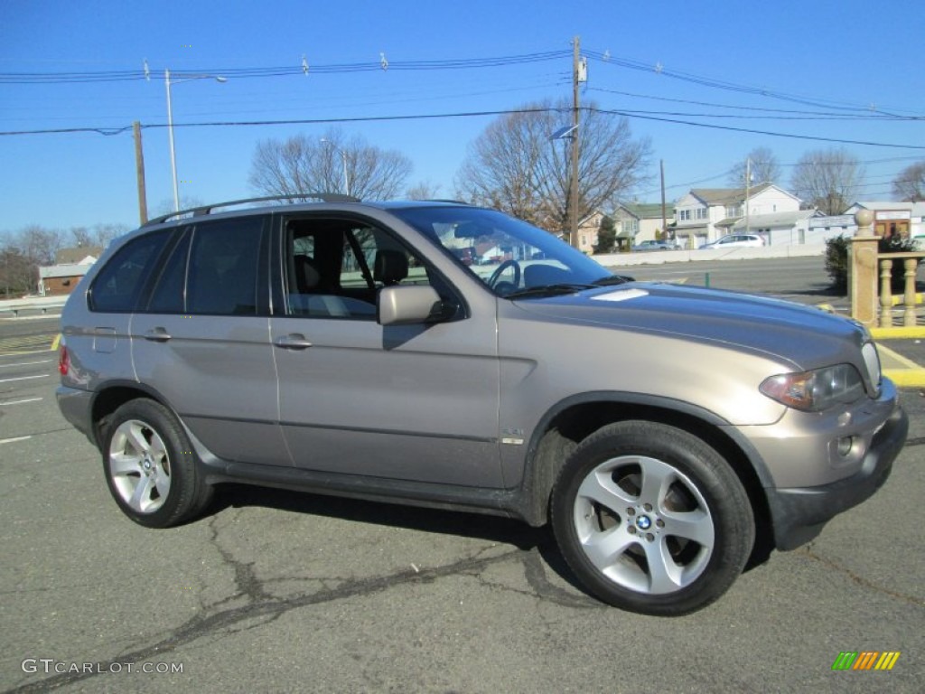 2004 X5 4.4i - Kalahari Beige Metallic / Black photo #10