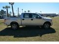 Ingot Silver - F150 STX SuperCrew Photo No. 4