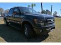 2014 Tuxedo Black Ford F150 FX4 SuperCrew 4x4  photo #3