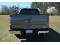 2014 Sterling Grey Ford F150 XLT SuperCrew 4x4  photo #6