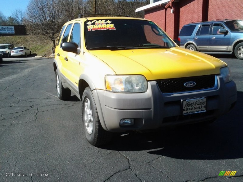 2002 Escape XLT V6 4WD - Chrome Yellow / Medium Graphite photo #4
