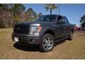 2014 Sterling Grey Ford F150 STX SuperCrew 4x4  photo #1