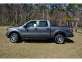 2014 Sterling Grey Ford F150 STX SuperCrew 4x4  photo #8