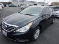2014 Pacific Blue Pearl Hyundai Sonata GLS  photo #1