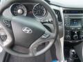 2014 Radiant Silver Hyundai Sonata GLS  photo #7