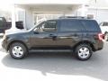 Ebony Black - Escape XLT 4WD Photo No. 4