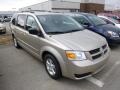 2009 Light Sandstone Metallic Dodge Grand Caravan SE #91754939