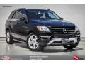 Black - ML 350 4Matic Photo No. 1
