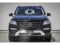 Black - ML 350 4Matic Photo No. 2