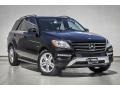 Black - ML 350 4Matic Photo No. 11