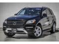 Black - ML 350 4Matic Photo No. 12