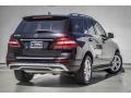Black - ML 350 4Matic Photo No. 13