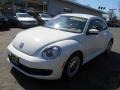 Candy White - Beetle 2.5L Photo No. 3