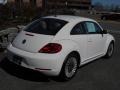Candy White - Beetle 2.5L Photo No. 4