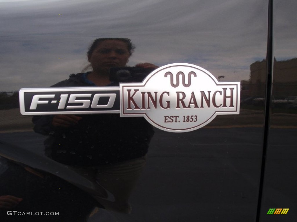 2014 F150 King Ranch SuperCrew 4x4 - Tuxedo Black / King Ranch Chaparral/Black photo #13