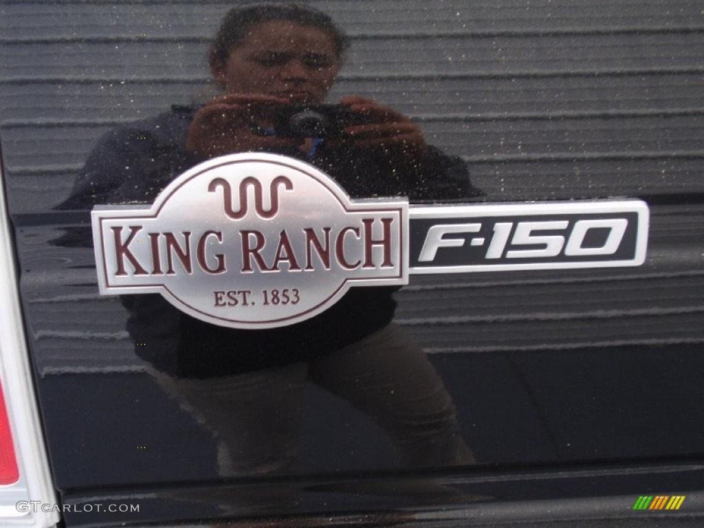 2014 F150 King Ranch SuperCrew 4x4 - Tuxedo Black / King Ranch Chaparral/Black photo #19