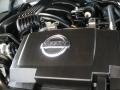 Silver Lightning - Xterra S Photo No. 16
