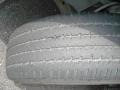 Light Taupe Metallic - Montana  Photo No. 11