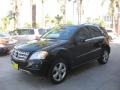 Black - ML 350 Photo No. 5