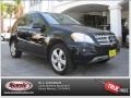 Black - ML 350 Photo No. 25