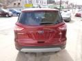 2014 Sunset Ford Escape SE 1.6L EcoBoost 4WD  photo #5