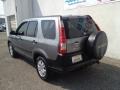 Silver Moss Metallic - CR-V EX 4WD Photo No. 8