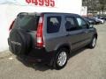 Silver Moss Metallic - CR-V EX 4WD Photo No. 25