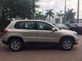White Gold Metallic - Tiguan S Photo No. 6
