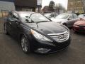 2013 Pacific Blue Pearl Hyundai Sonata Limited 2.0T  photo #1