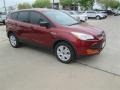 2014 Sunset Ford Escape S  photo #5