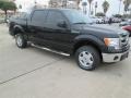 Tuxedo Black - F150 XLT SuperCrew Photo No. 5