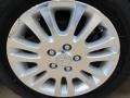 2010 Silver Shadow Pearl Toyota Sienna Limited  photo #16