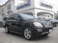 Black - ML 350 Photo No. 1