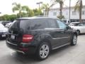 Black - ML 350 Photo No. 2