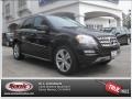 Black - ML 350 Photo No. 26
