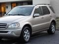 Desert Silver Metallic - ML 500 4Matic Photo No. 22