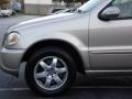Desert Silver Metallic - ML 500 4Matic Photo No. 24