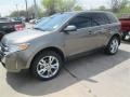 2014 Mineral Gray Ford Edge Limited  photo #1