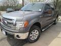 2014 Sterling Grey Ford F150 XLT SuperCrew 4x4  photo #1