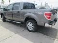 2014 Sterling Grey Ford F150 XLT SuperCrew 4x4  photo #2